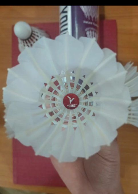 Shuttlecock - Young 3in1 Hybrid